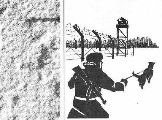 Все особенности зоны - контрабанда в тюрьму, как делают? Все особенности зоны - контрабанда в тюрьму, как делают?