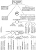 546_fdfg-gf6_bbhb_t1.png