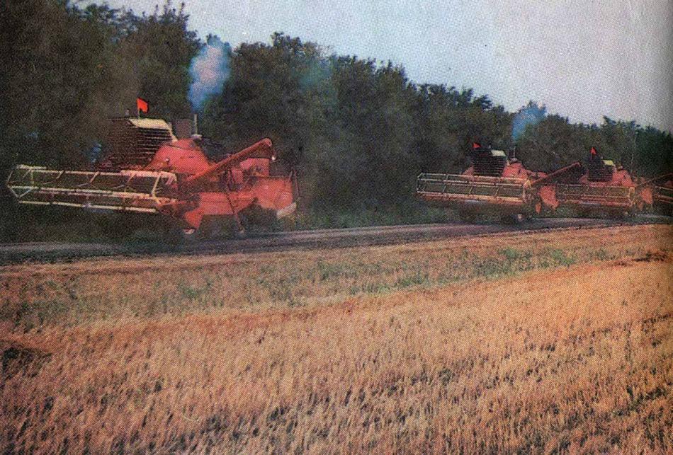 1982 год - домой! Конец уборочной страде...