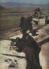 1942_nemzi_jkg554_h_t1.jpg