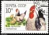 5-5_soviet-union_003_t1.jpg