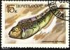 5_marka_ussr_05_t1.jpg