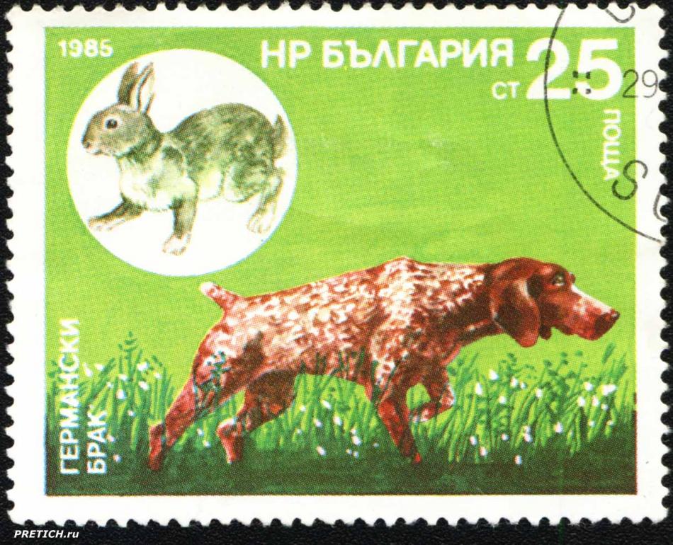 Германски брак. НР България поща. 1985