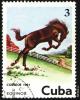 7_cuba_mark_t1.jpg
