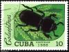 Click to view cuba_mark_26_t1.jpg