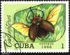 Click to view cuba_mark_30_t1.jpg