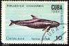 cuba_mark_38_t1.jpg