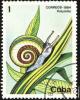 cuba_mark_6_t1.jpg