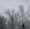 23-03-2022_dsc04256_t1.jpg
