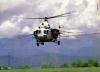 34534fvdf-dfrt5_t1.jpg