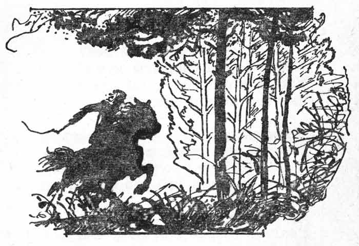 Всадник - картинка из книги стихов Кольцова