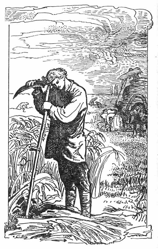 Уборка - рисунок в книге стихов А.В. Кольцова