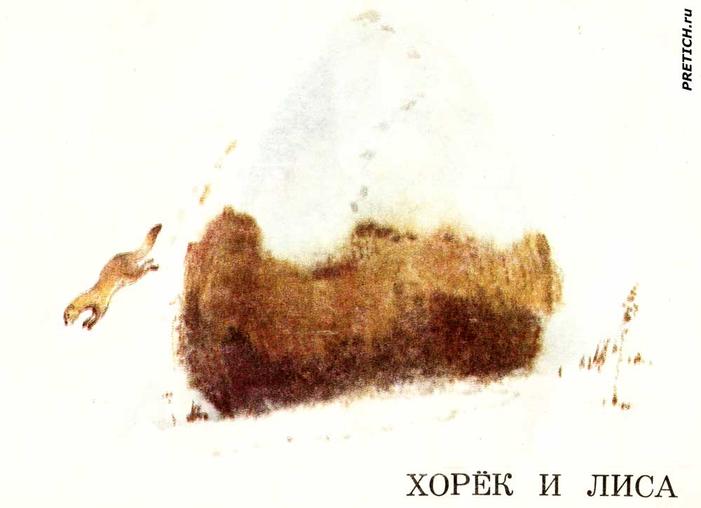 Максим Зверев Хорек и лиса - иллюстрации к книжке Максим Зверев Хорек и лиса - иллюстрации к книжке