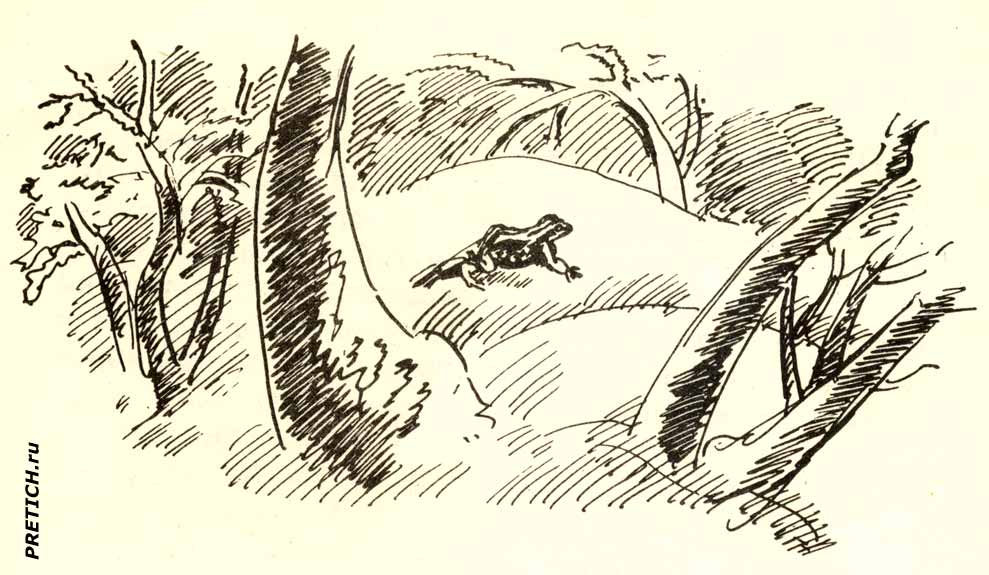 Художник А. Эйгес оформление детских книг СССР Художник А. Эйгес оформление детских книг СССР